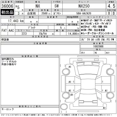 Lexus NX  с аукциона в Японии