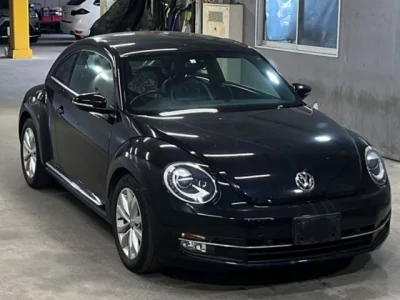 Volkswagen THE BEETLE
