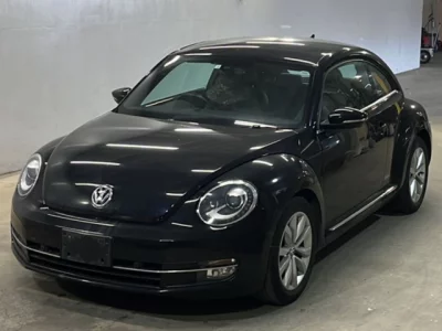 Volkswagen THE BEETLE