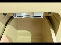 Honda STEP WAGON лот № 29027 оценка R  с аукциона в Японии 10