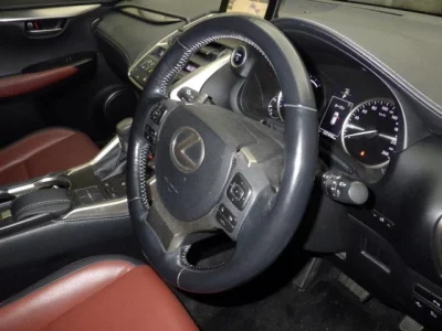 Lexus NX  с аукциона в Японии