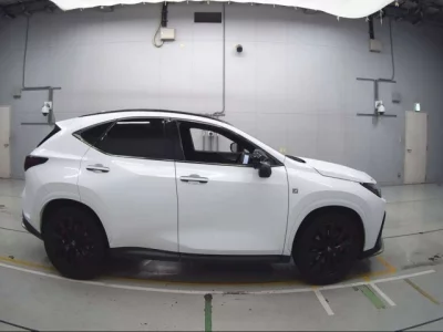 Lexus NX  с аукциона в Японии