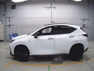 Lexus NX  с аукциона в Японии