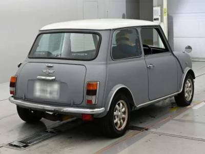 Rover MINI