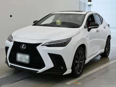 Lexus NX  с аукциона в Японии