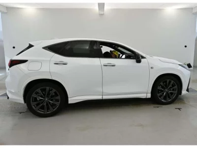 Lexus NX  с аукциона в Японии