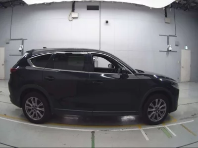 Mazda CX-8  с аукциона в Японии