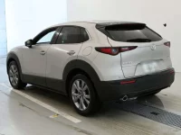 Mazda CX-30 лот № 36239 оценка 5  с аукциона в Японии 5
