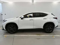 Lexus NX лот № 36247 оценка 5  с аукциона в Японии 3