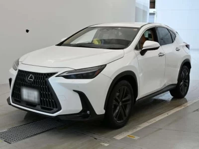 Lexus NX  с аукциона в Японии