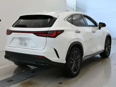 Lexus NX  с аукциона в Японии