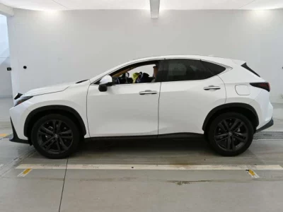 Lexus NX  с аукциона в Японии