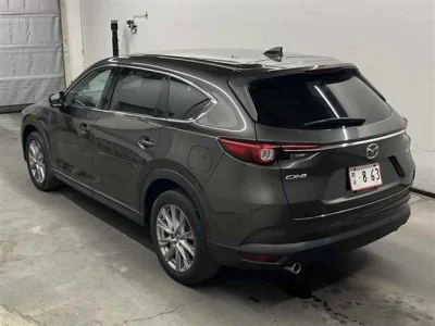 Mazda CX-8  с аукциона в Японии