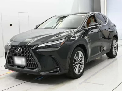 Lexus NX  с аукциона в Японии