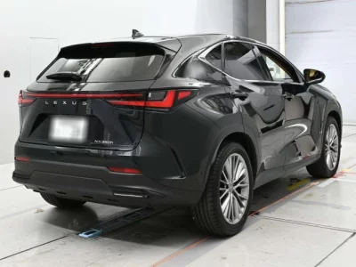 Lexus NX  с аукциона в Японии
