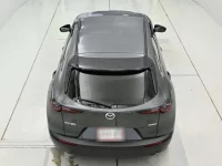 Mazda CX-30 лот № 36513 оценка 4.5  с аукциона в Японии 7