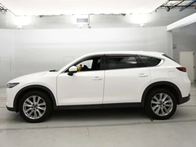 Mazda CX-8  с аукциона в Японии