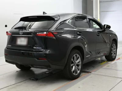 Lexus NX  с аукциона в Японии