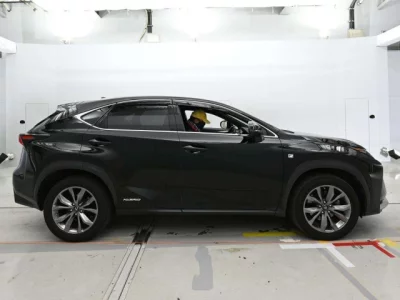 Lexus NX  с аукциона в Японии