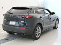 Mazda CX-30 лот № 30797 оценка 4  с аукциона в Японии 1