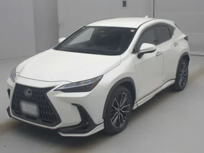 Lexus NX  с аукциона в Японии