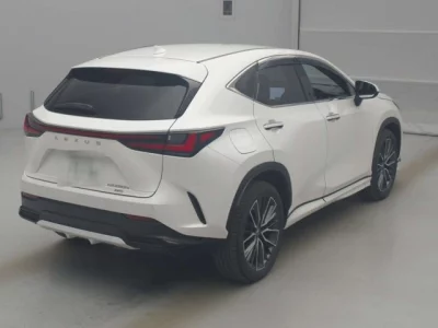 Lexus NX  с аукциона в Японии