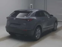 Mazda CX-30 лот № 22134 оценка 3.5  с аукциона в Японии 1