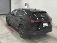 Lexus NX лот № 30100 оценка 4.5  с аукциона в Японии 1