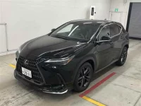 Lexus NX лот № 30100 оценка 4.5  с аукциона в Японии 3