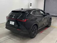 Lexus NX лот № 30100 оценка 4.5  с аукциона в Японии 4