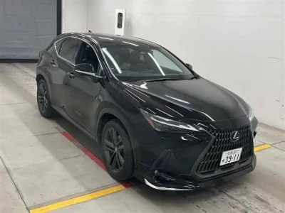 Lexus NX  с аукциона в Японии