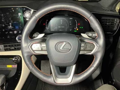 Lexus NX  с аукциона в Японии