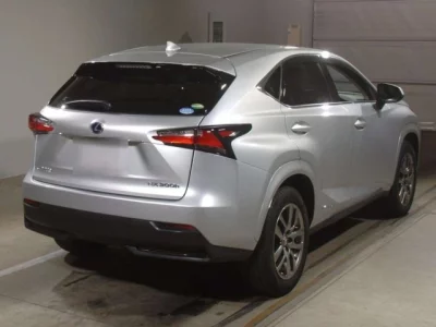 Lexus NX  с аукциона в Японии