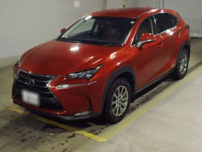 Lexus NX  с аукциона в Японии