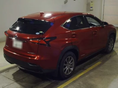 Lexus NX  с аукциона в Японии