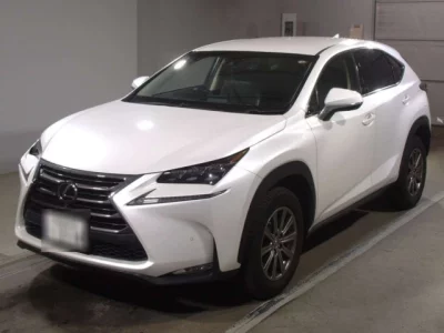 Lexus NX  с аукциона в Японии
