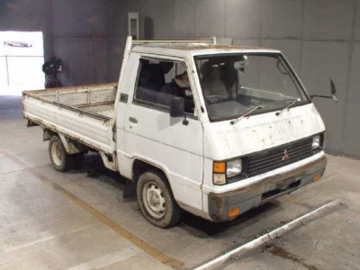 Mitsubishi DELICA TRUCK