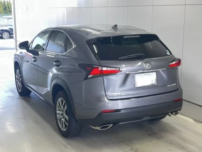 Lexus NX  с аукциона в Японии