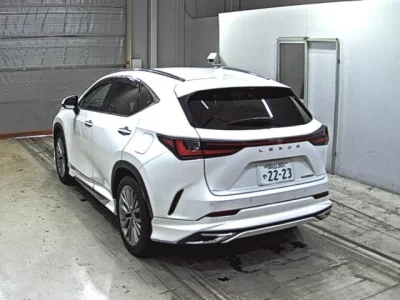 Lexus NX  с аукциона в Японии