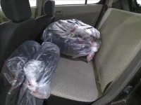 Suzuki ALTO лот № 4411 оценка 3  с аукциона в Японии 4