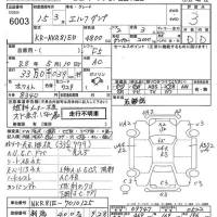 Isuzu ELF лот № 6003 оценка 3  с аукциона в Японии 7