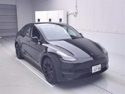 Tesla MODELY