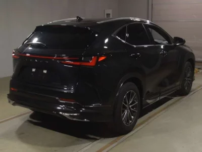 Lexus NX  с аукциона в Японии