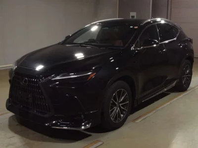 Lexus NX  с аукциона в Японии