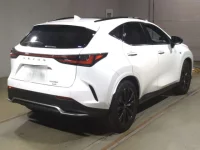 Lexus NX лот № 10009 оценка 4.5  с аукциона в Японии 1
