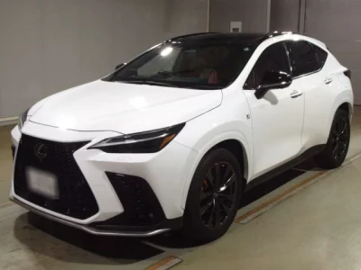Lexus NX  с аукциона в Японии
