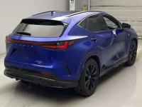Lexus NX лот № 10002 оценка 4.5  с аукциона в Японии 1