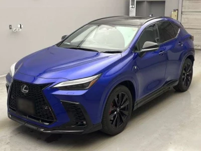 Lexus NX  с аукциона в Японии