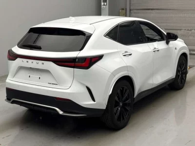 Lexus NX  с аукциона в Японии