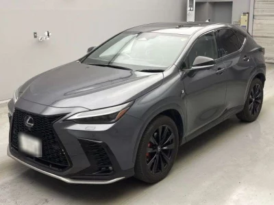 Lexus NX  с аукциона в Японии